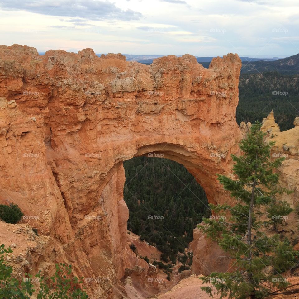 Arches. National park