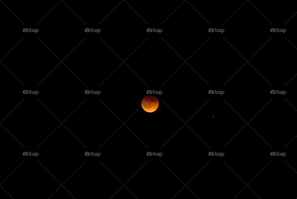 Bloody Moon