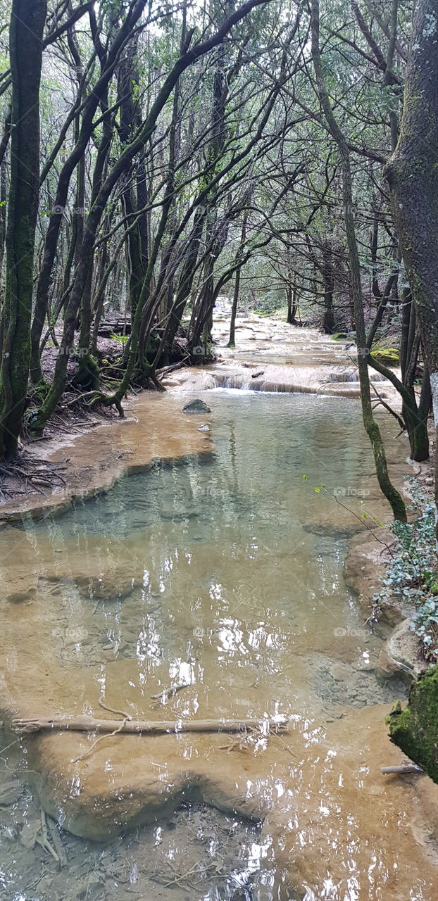 source de l'Huveaune