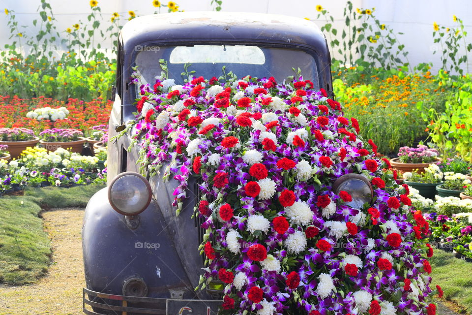 This is an old car and it is decorated with flowers at one flower show