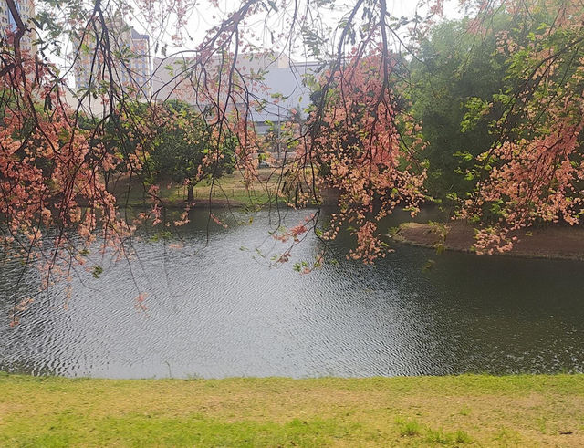 Lake 