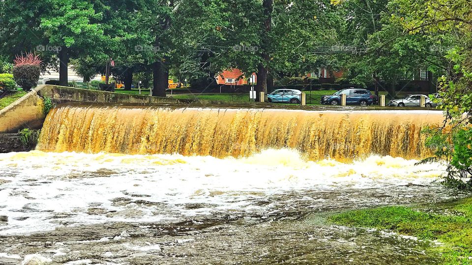 The duck pond is full to bursting after the storm...