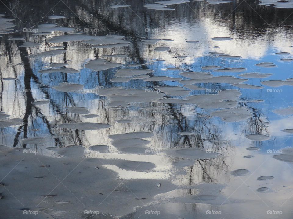 Reflection in frozen water