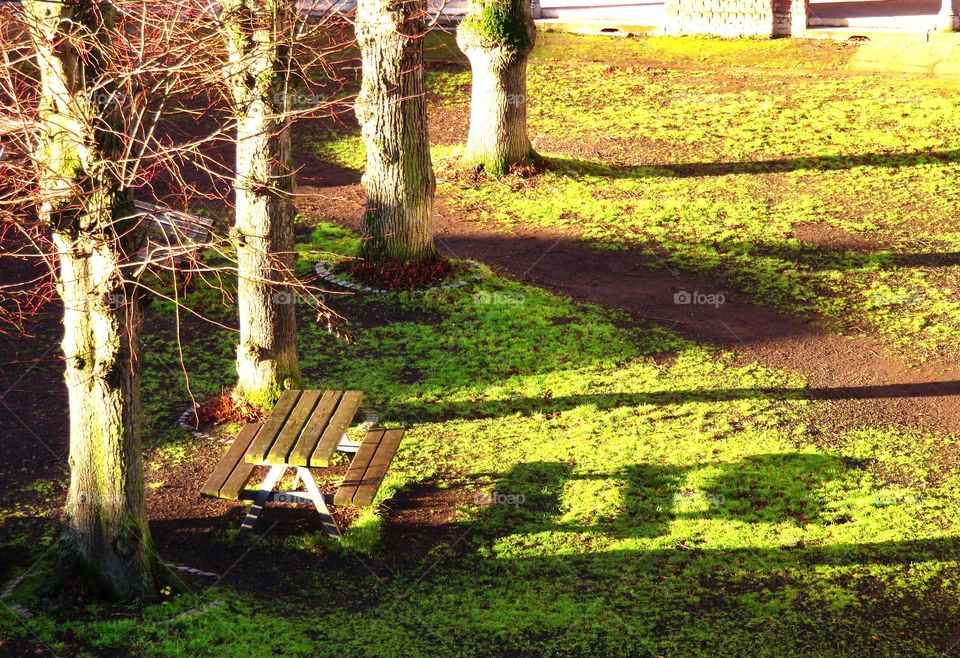 bench shadow