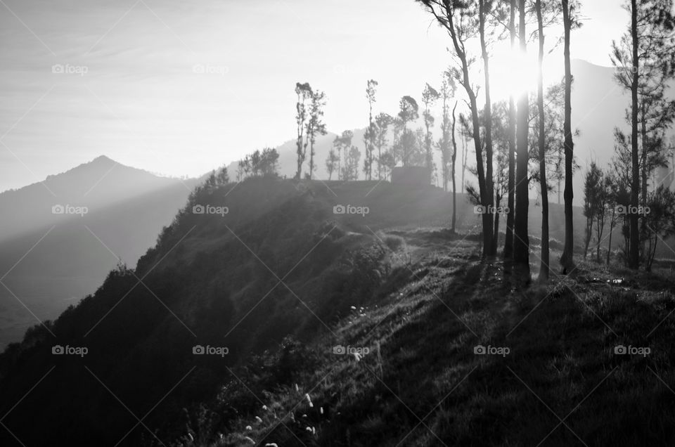 light and shadow. Mount Bromo, is an active volcano and part of the Tengger massif, in East Java, Indonesia.