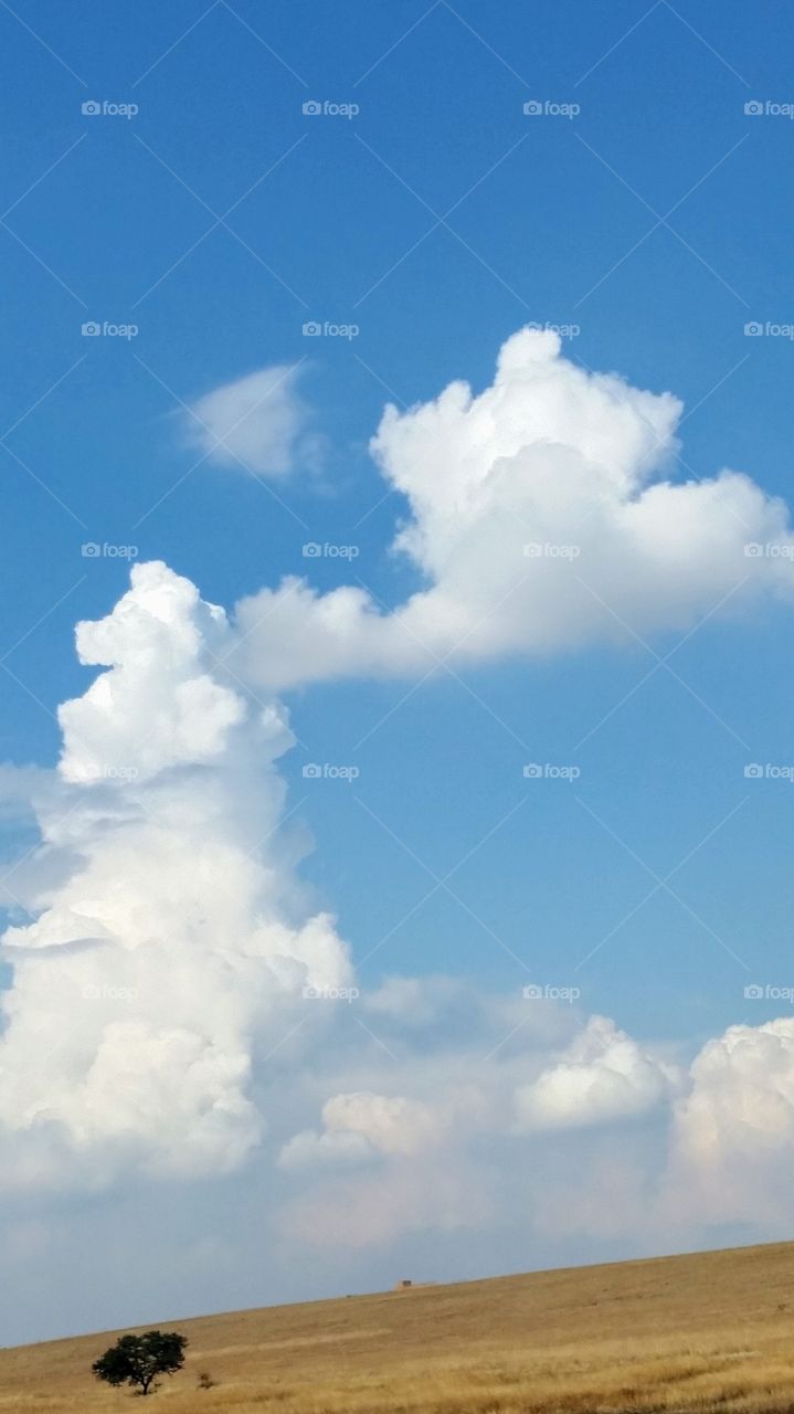 Giant clouds lonely tree
