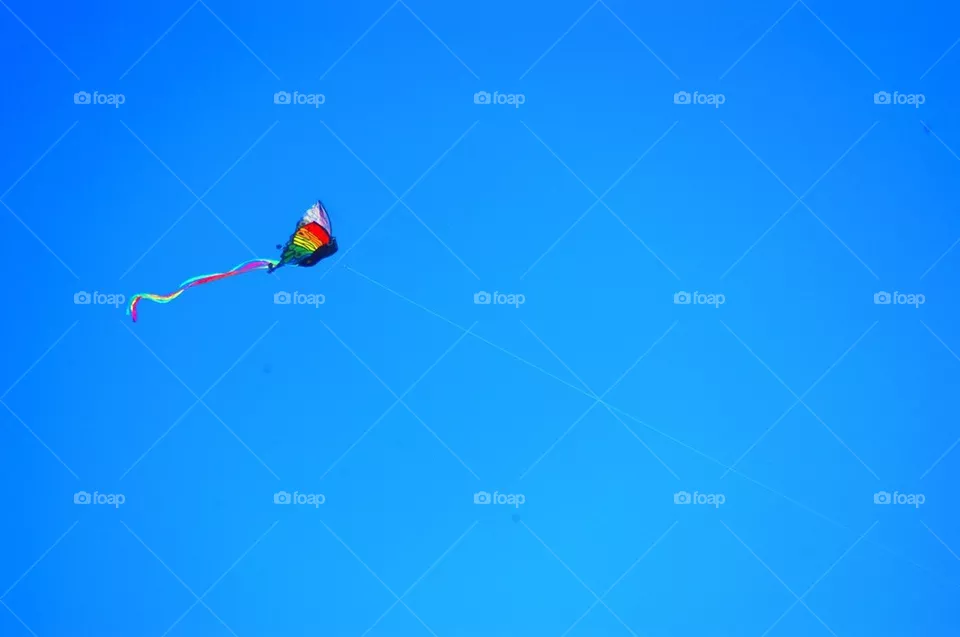 Flying kite