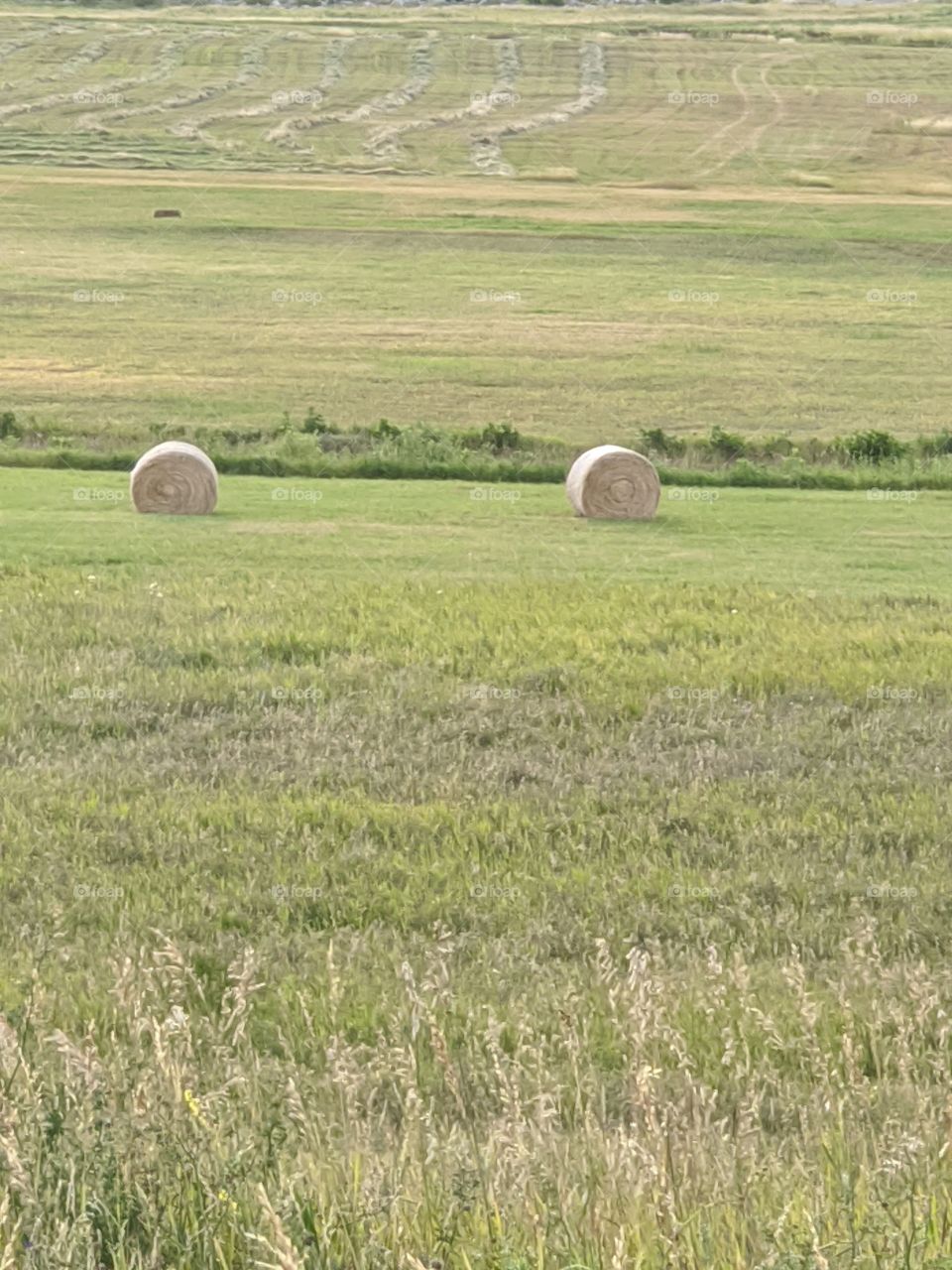 Round Hay Bale