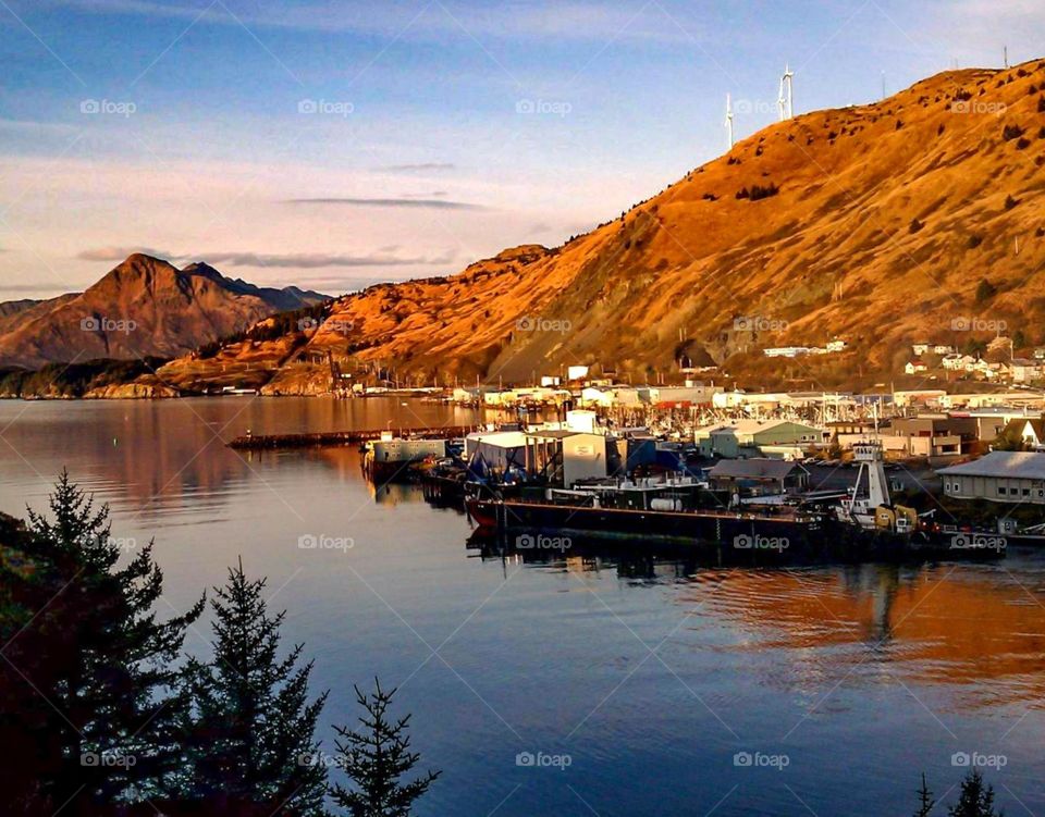 Kodiak Alaska. Kodiak Alaska