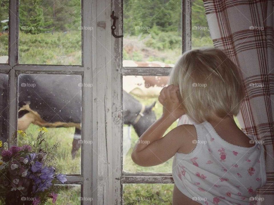 girl looking out at cows