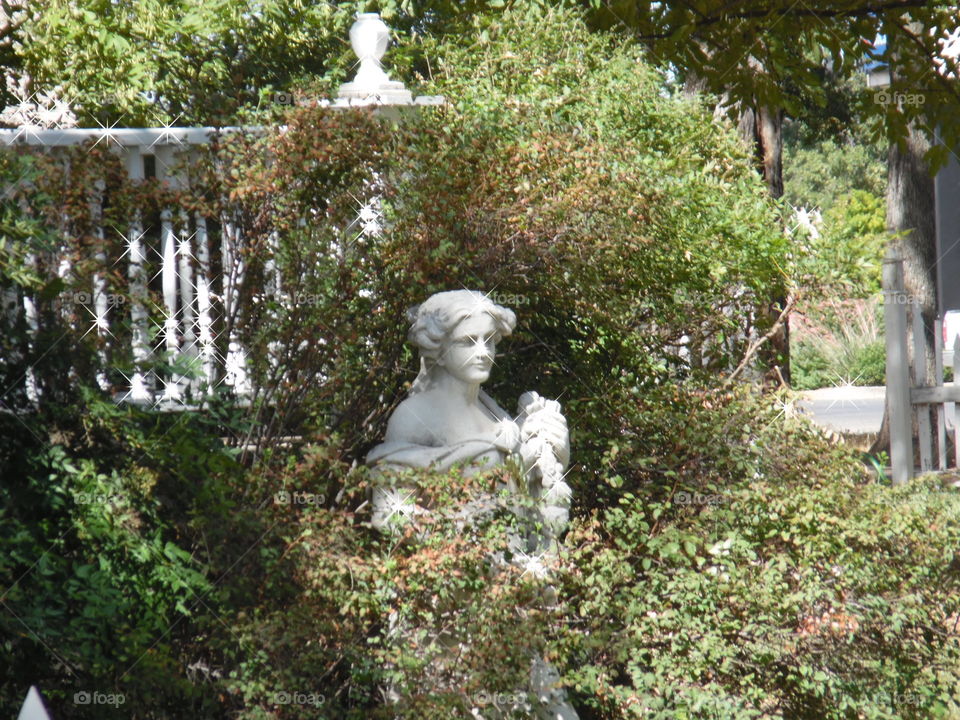 Bush lady. This is a picture of a statue that I saw while out walking 🚶 🏃 🔥 💨