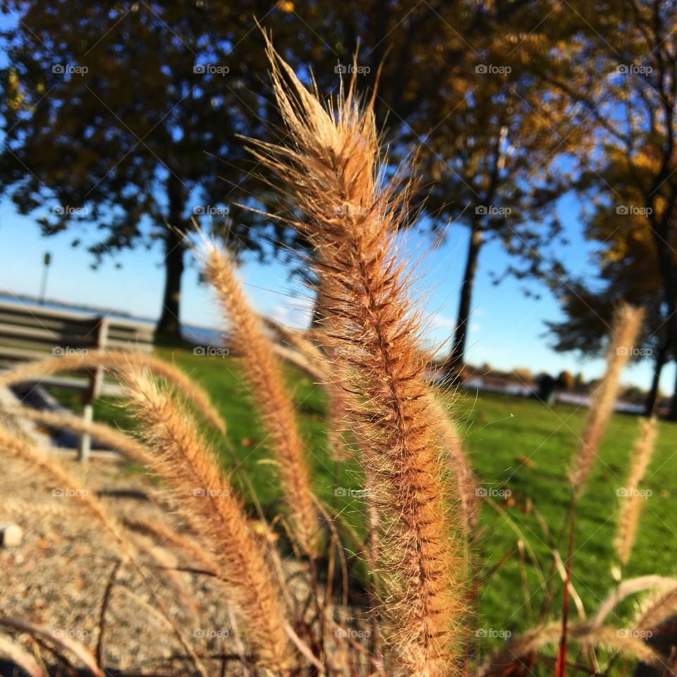 Macro outdoors