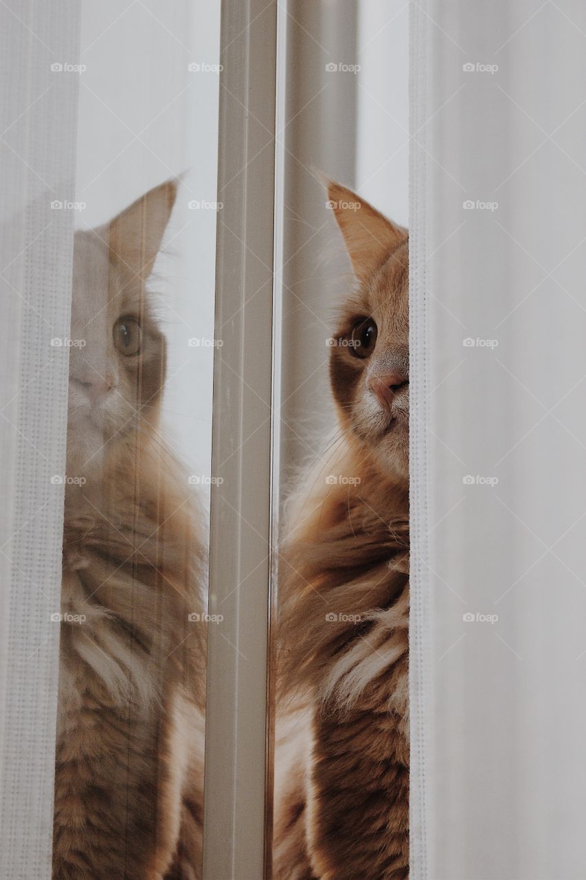 Looking at His Reflection