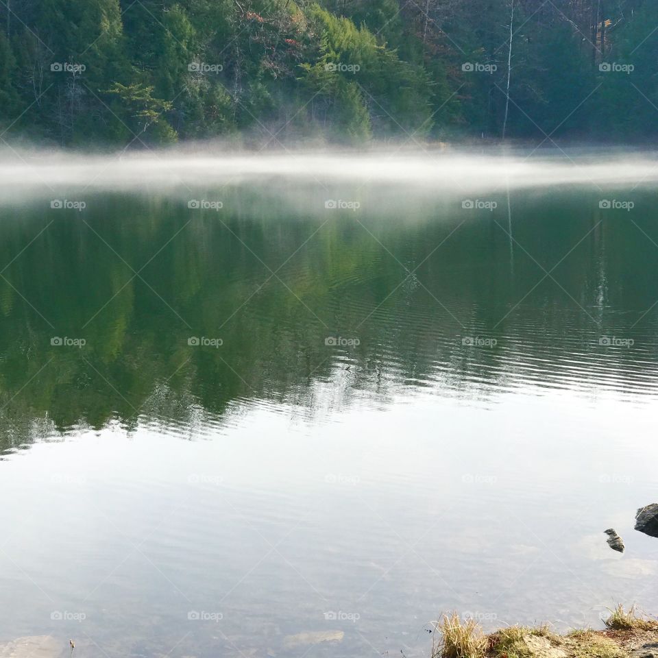 Fog on the Lake