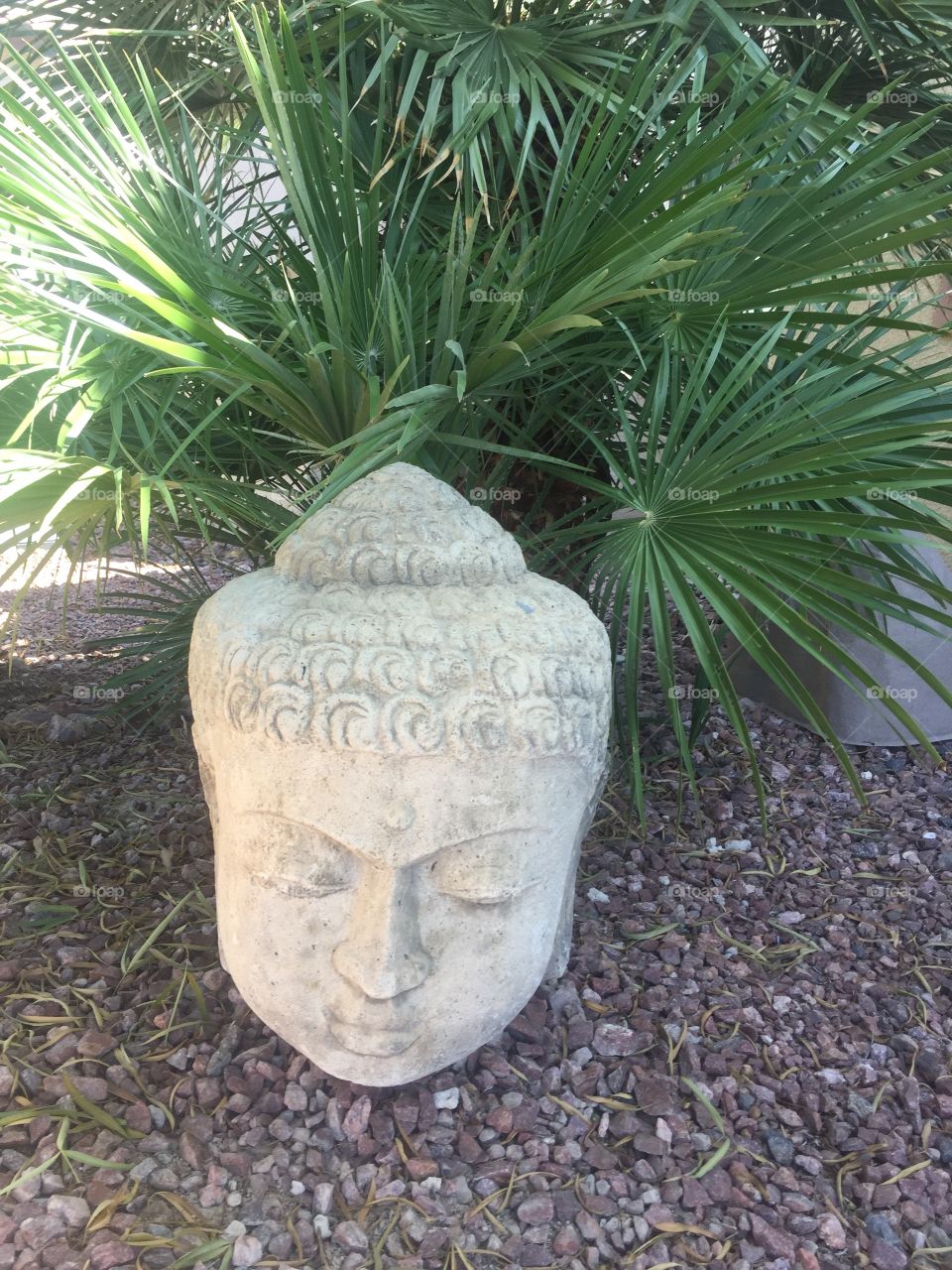 Buddha