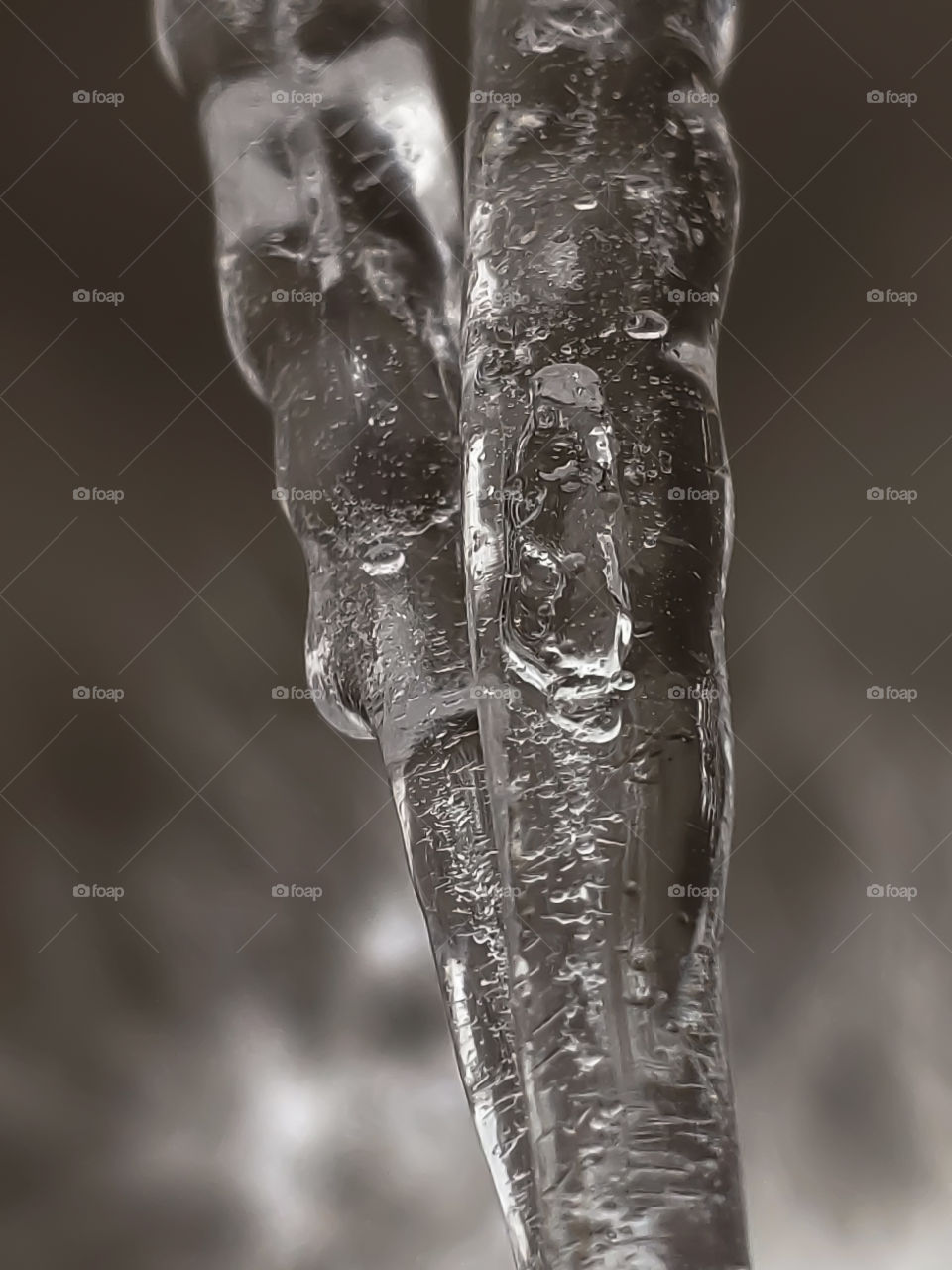 Nature abstract- closeup of icicles