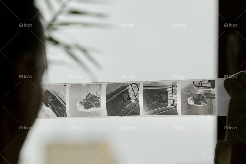 photography. photo negatives