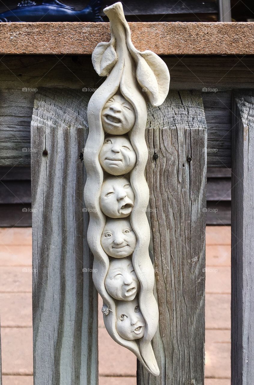 Peas in a pod - a cute and silly ceramic sculpture/decoration hanging on a wooden fence. 