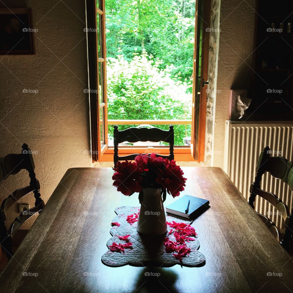 View from my kitchens 