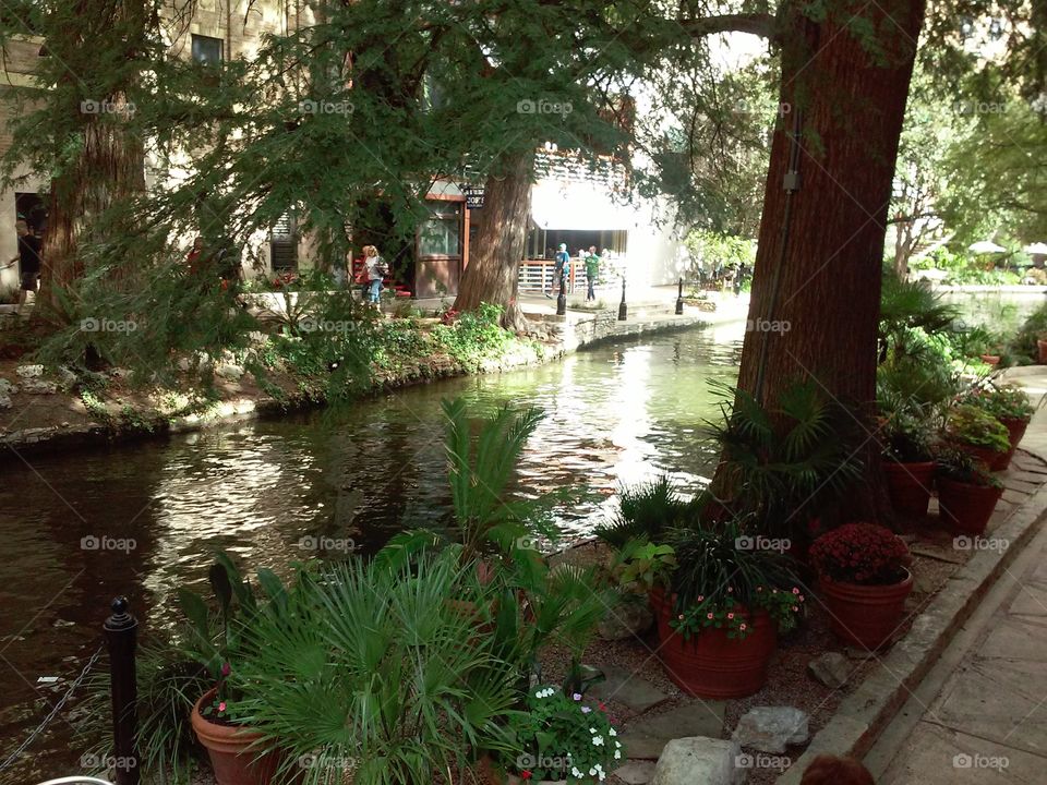 The Riverwalk at San Antonio, Texas: winding river beneath the protective trees [original photo].