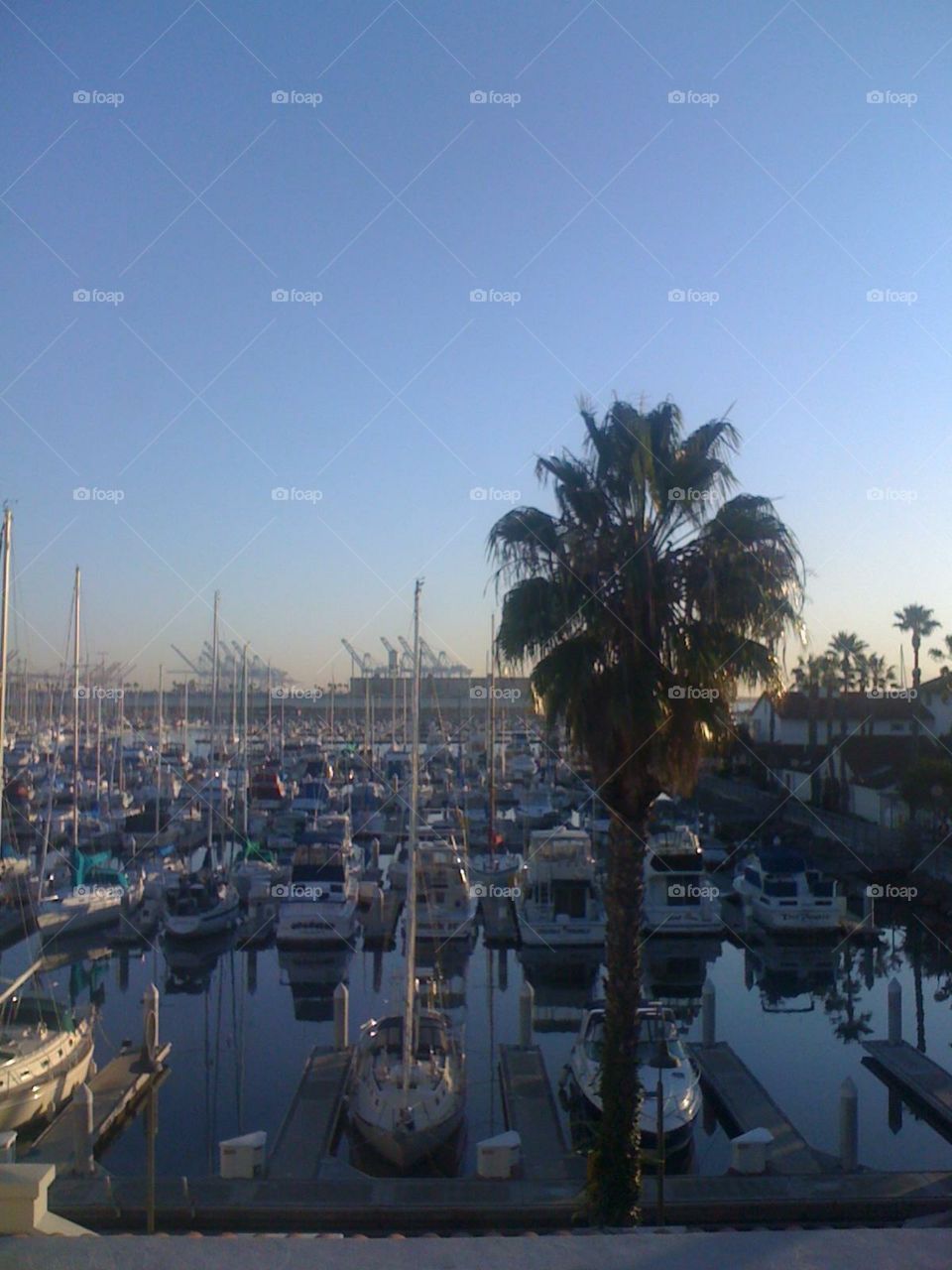 Marina in San Pedro, CA at dusk.