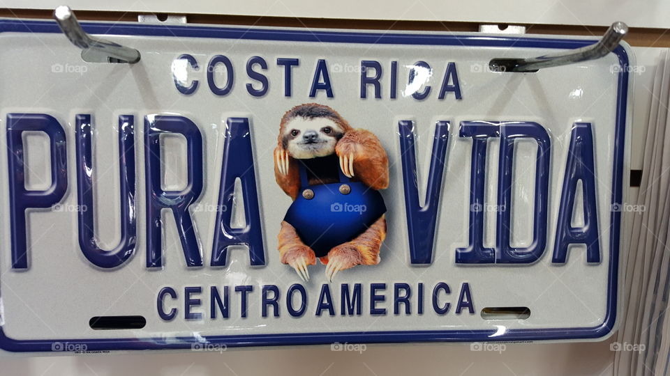 License Plate Pura Vida
