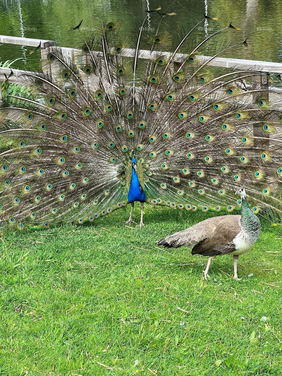 Spijkenisse, Netherlands 