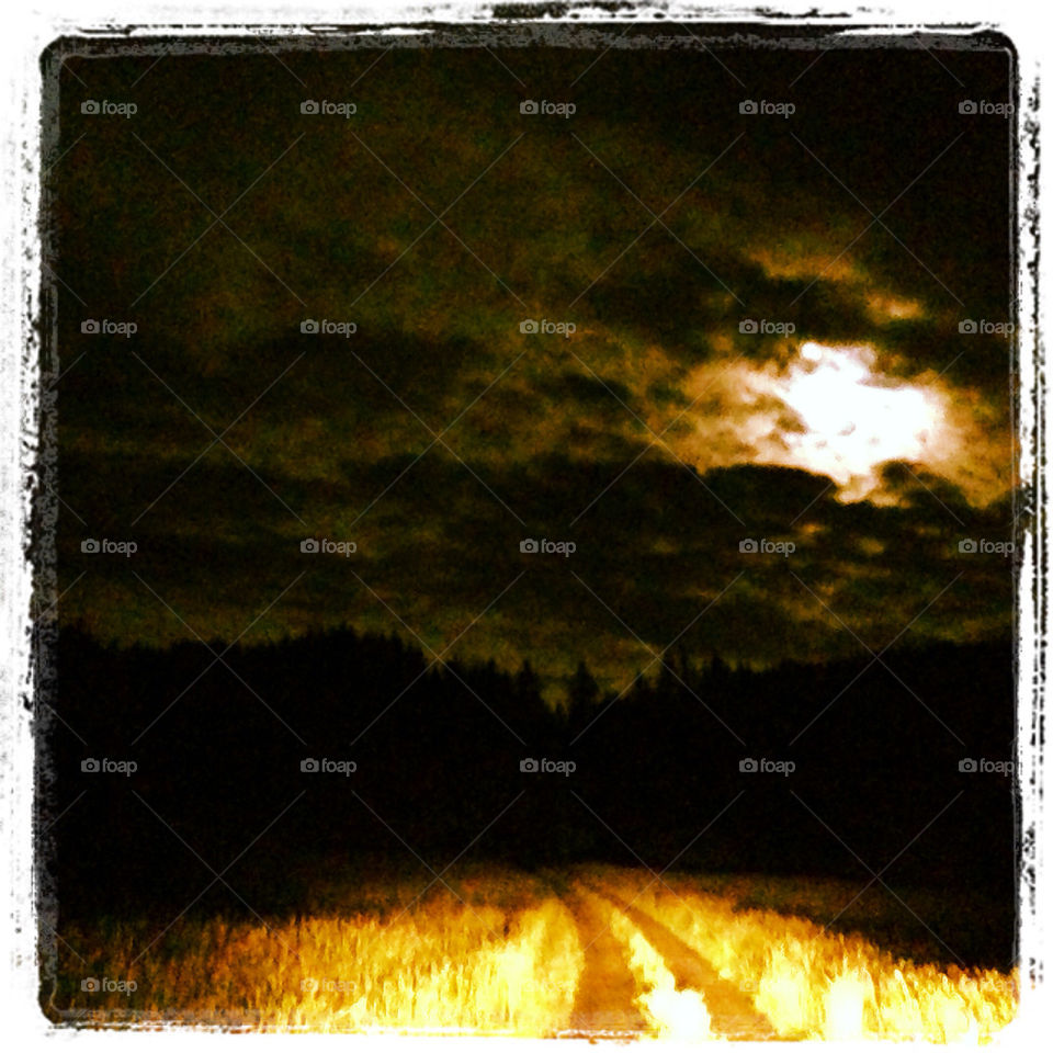 FULL MOON AND ROAD HOME