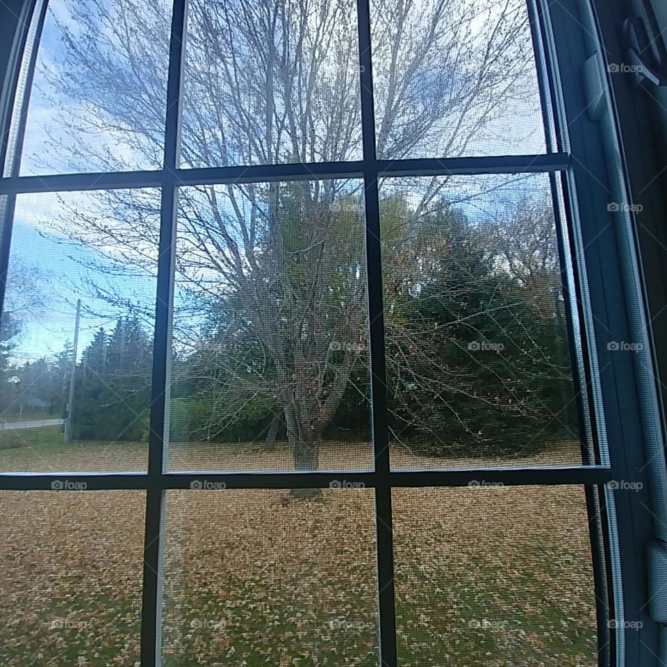 Ma vu par la fenêtre