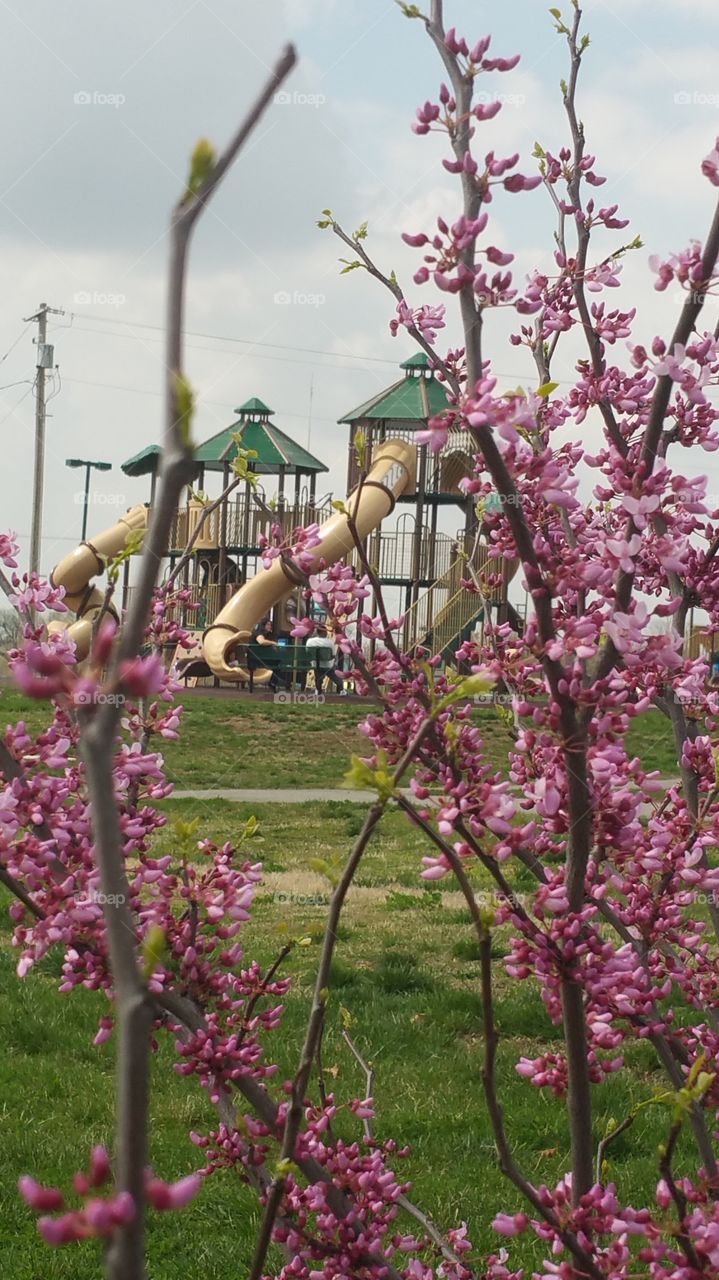 playground in a park in Joplin Missouri