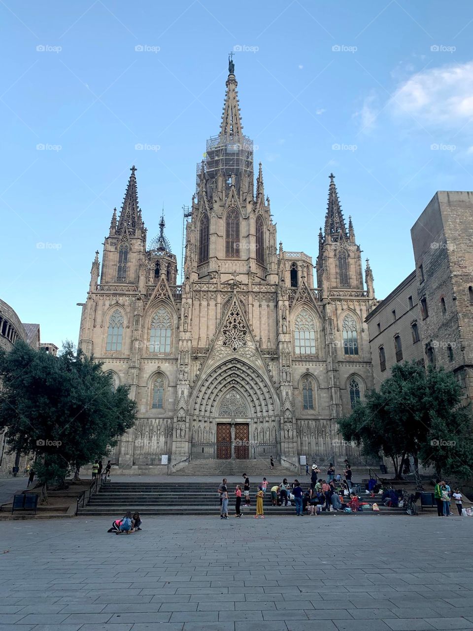 Catedral