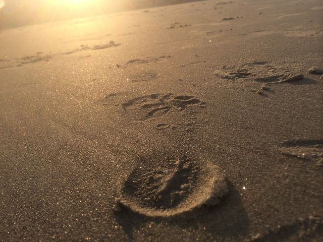 Sand Step
