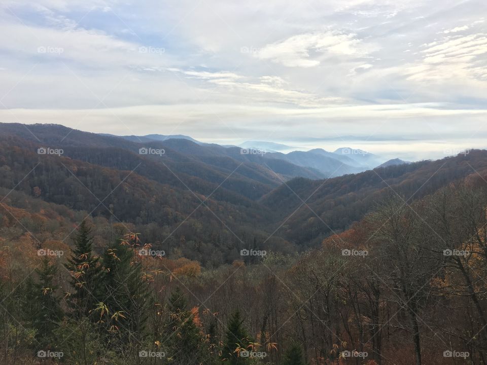 Landscape, Mountain, No Person, Tree, Fog