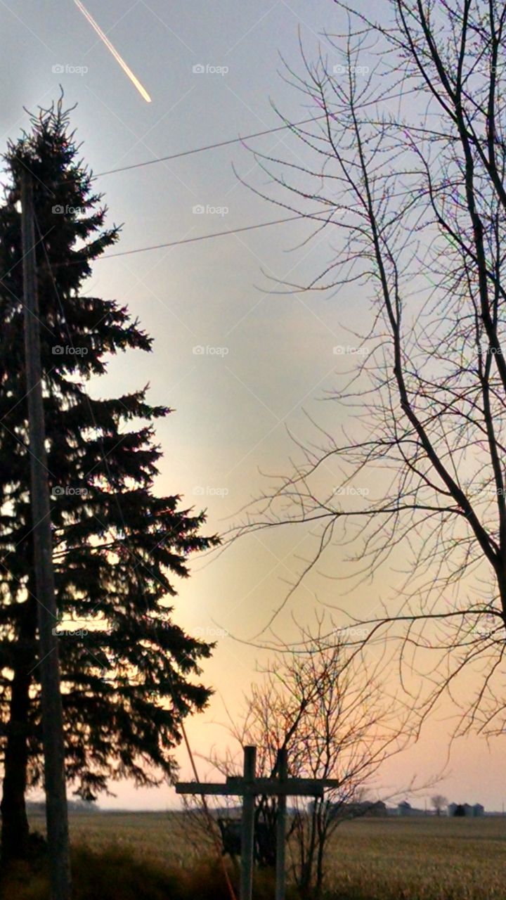 Tree, Landscape, Wood, Winter, Nature