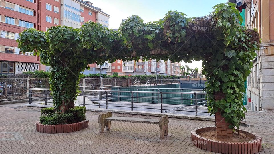 Sientese a la sombra