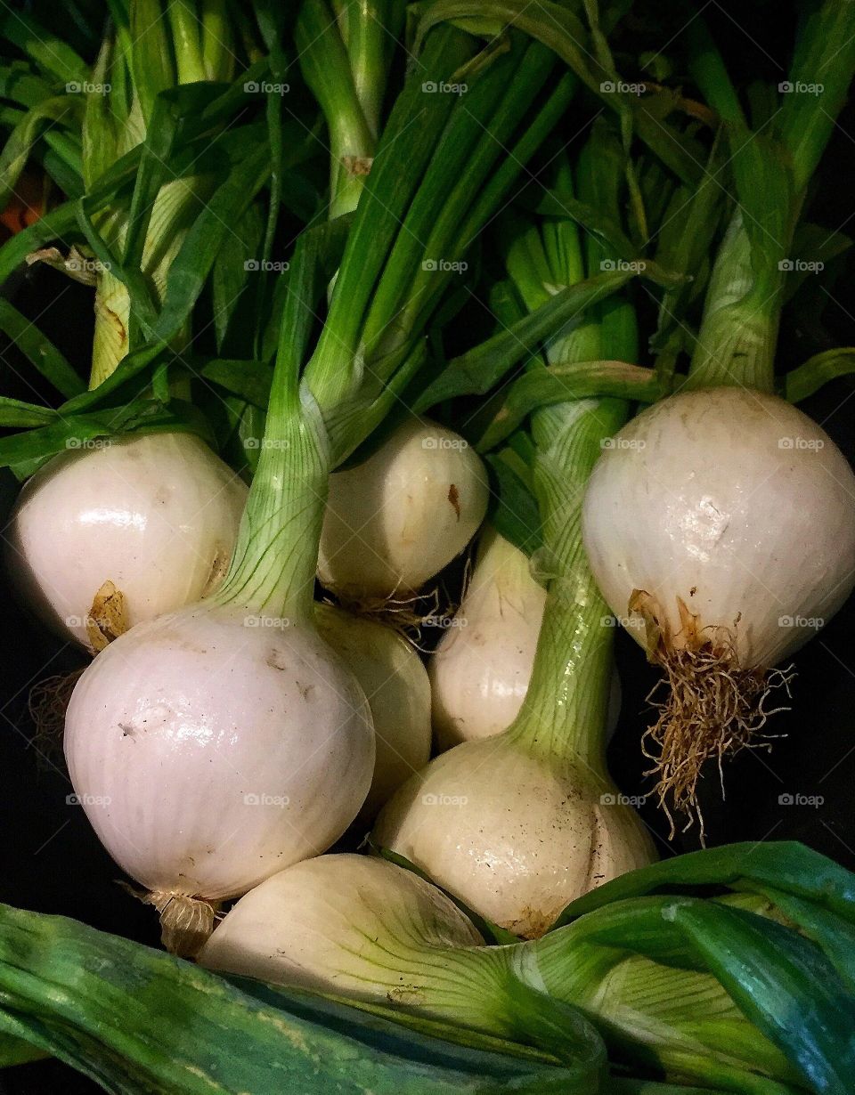 Leeks for sale at a market