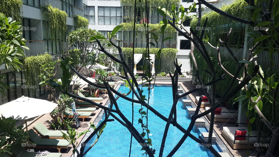 No Person, Garden, Luxury, Dug Out Pool, Hotel