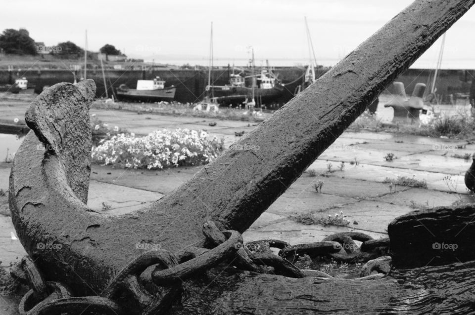 Close-up of anchor