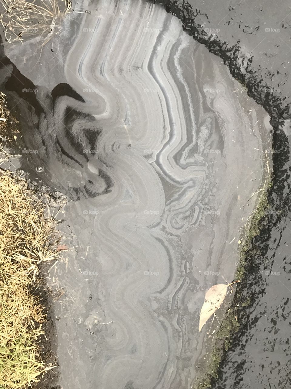 How oil and water do not mix but make great artistic designs.