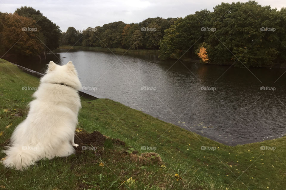 Jake contemplating Dutch weather 