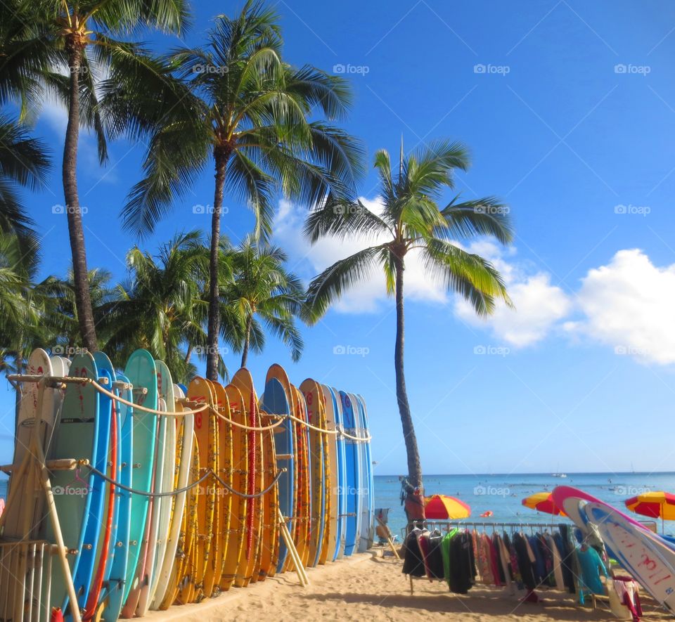 Photographer's paradise. Amazing beaches of Hawaii