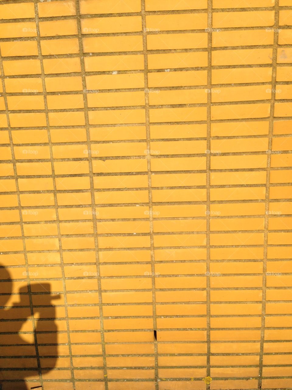 Shadow of me taking a picture of a yellow brick wall.