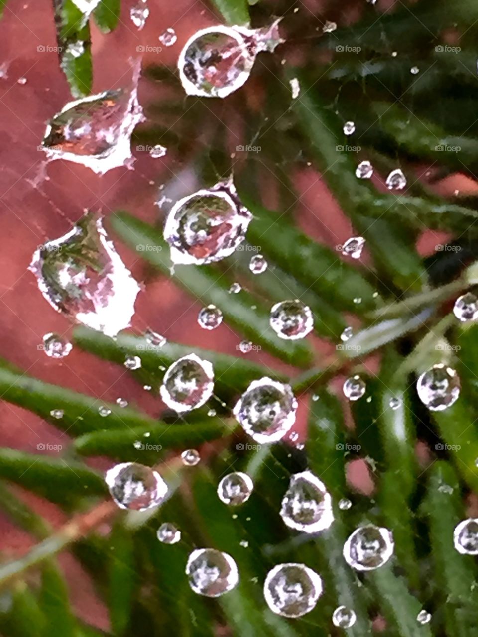 Droplets in suspension