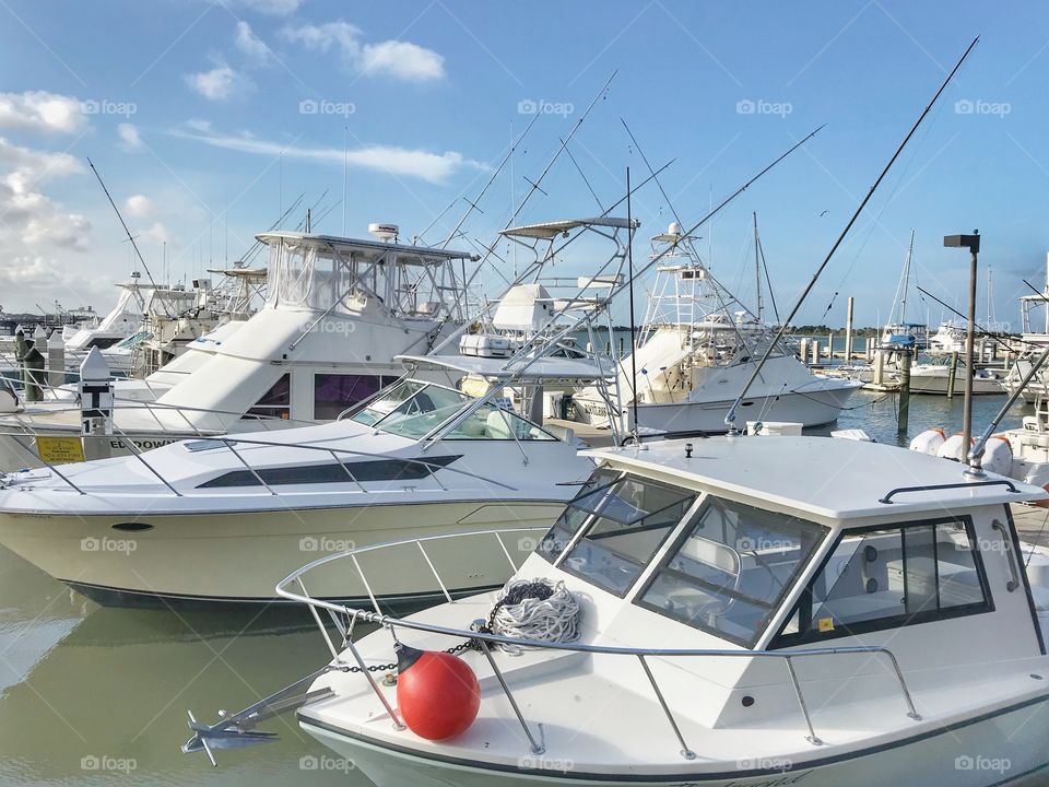 Conch House Marina