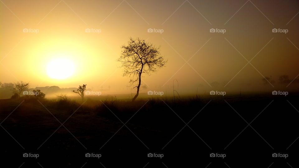 Silhouette of landscape during sunset