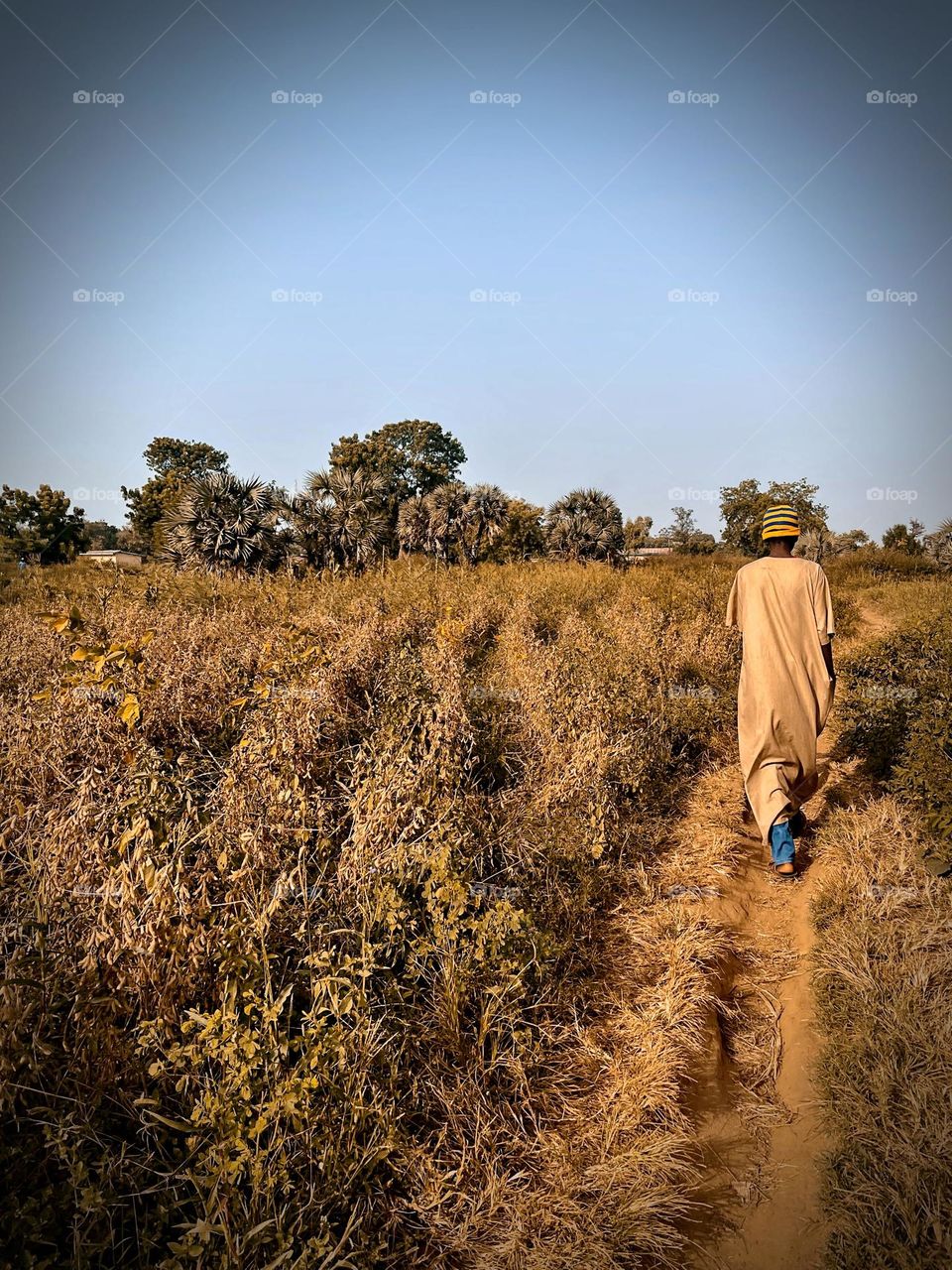 Nothing like an evening stroll in Harmattan 🌬️