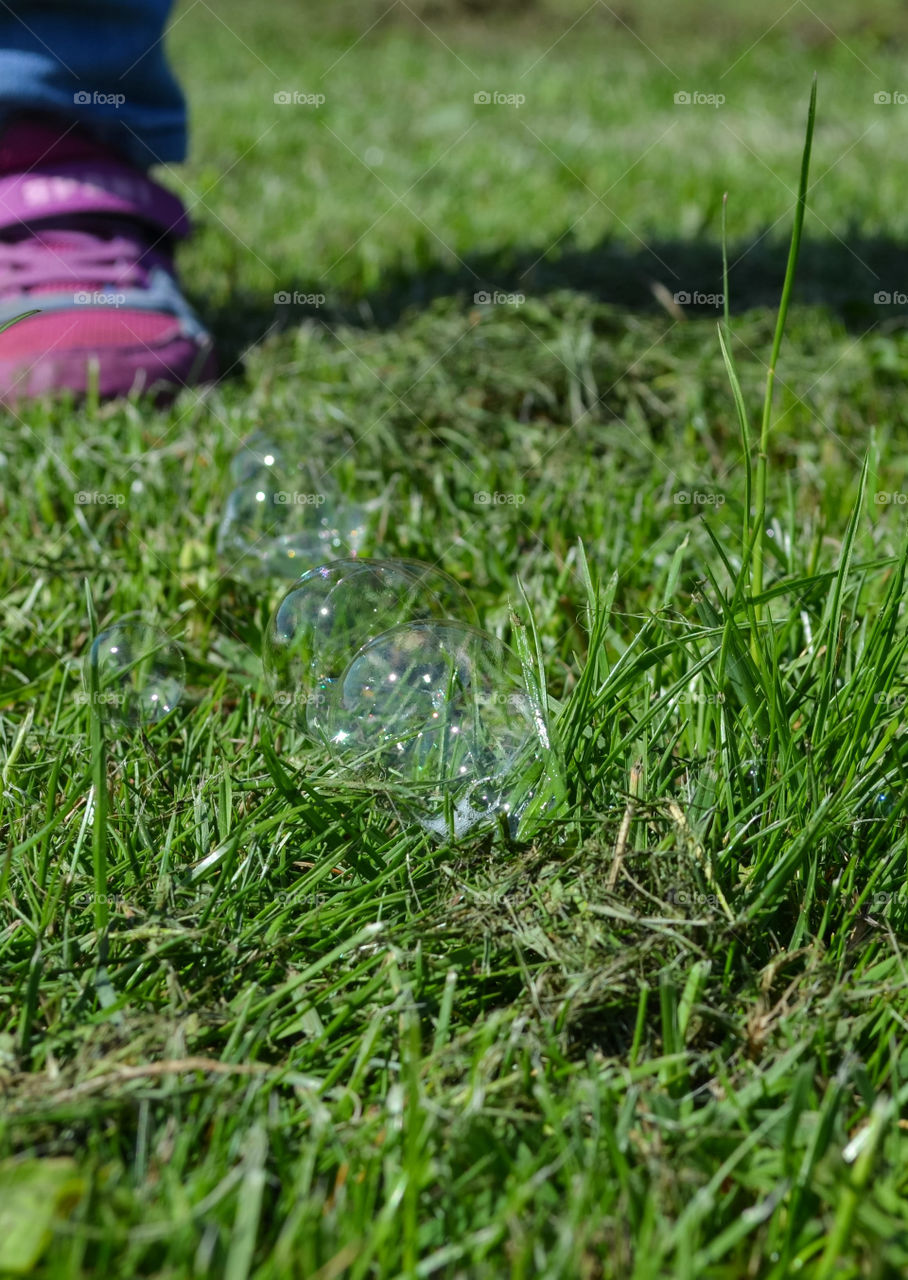 soap bubbles on the grass2