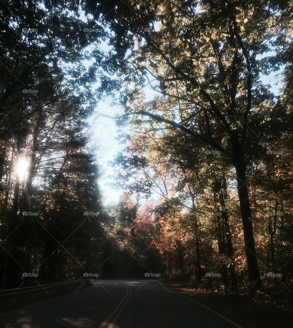 Fall 