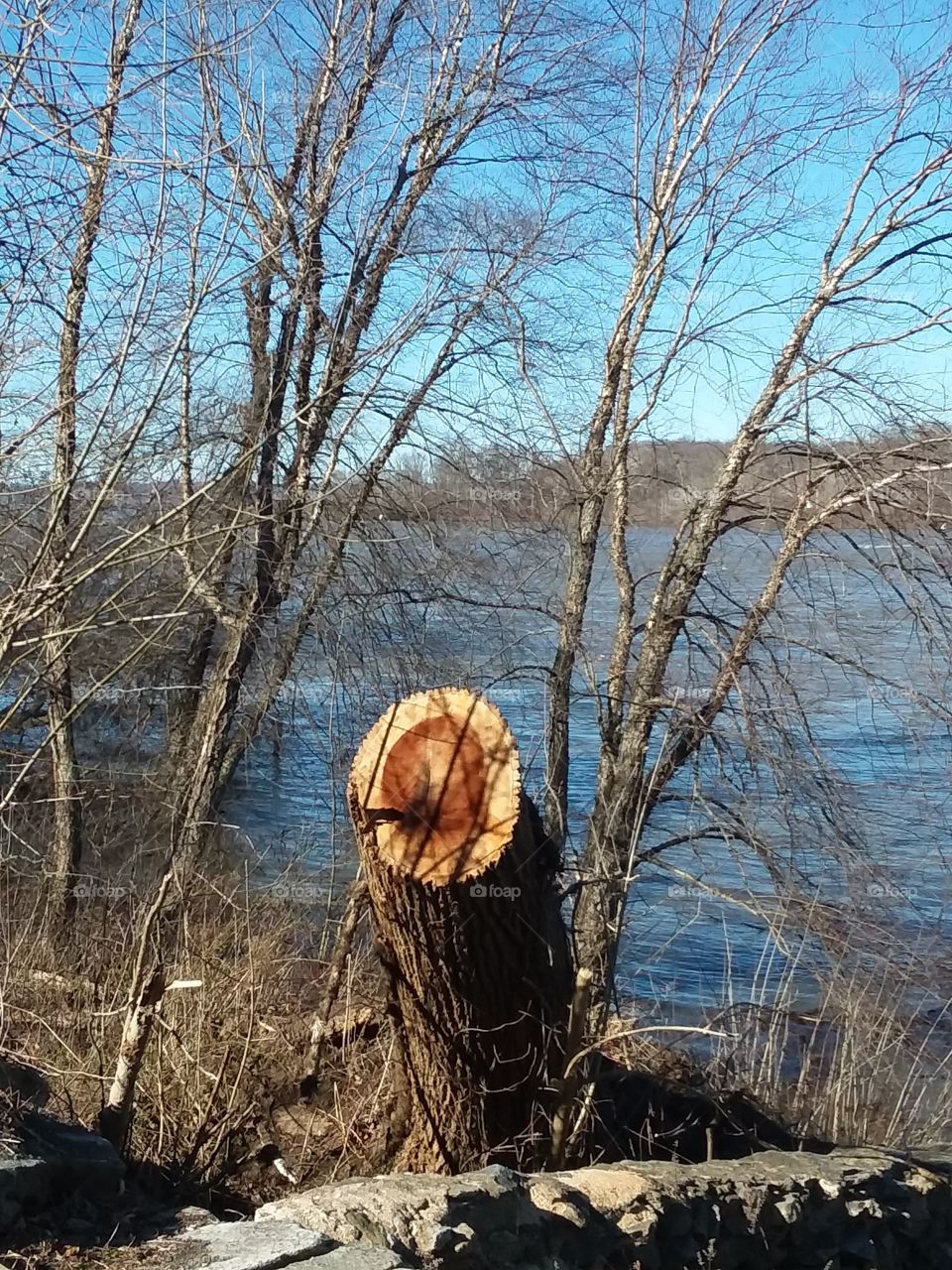 The calmness that is given to us by nature. Share your Spring with NIVEA