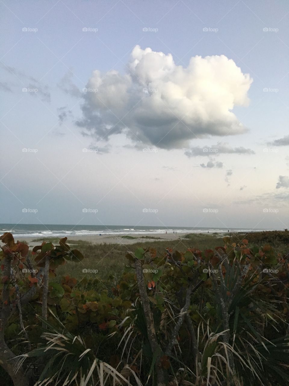 Beautiful clouds 